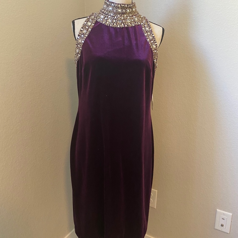 Velour Dress with Neckline Accents